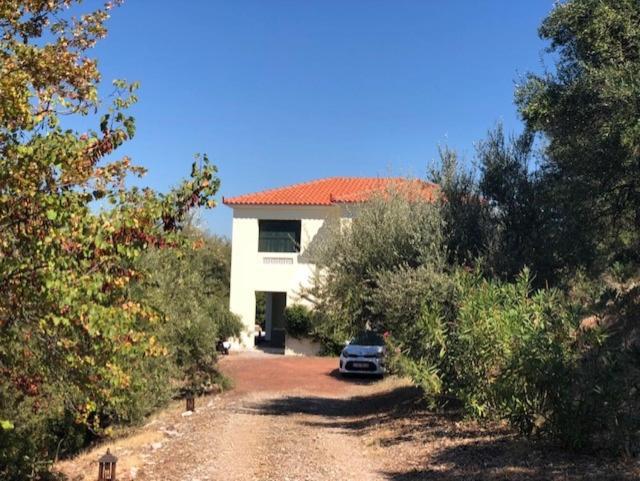 Kyparissia De Wandelboom Vila Vrises  Exterior foto