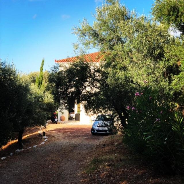 Kyparissia De Wandelboom Vila Vrises  Exterior foto