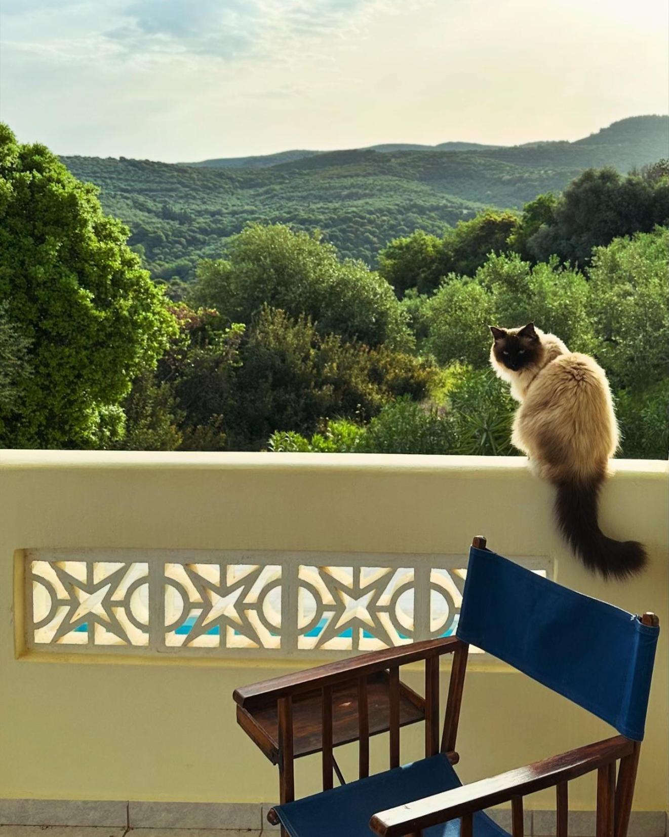 Kyparissia De Wandelboom Vila Vrises  Exterior foto